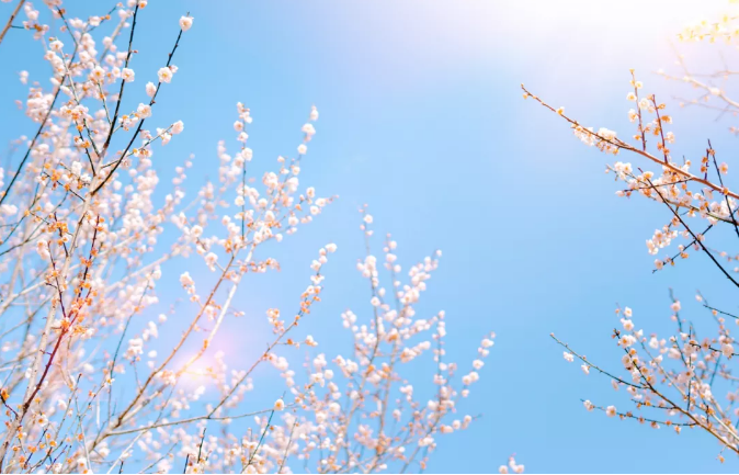 微信截图_20210305161350.png